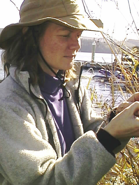 Laura examining bulrush, Devils Lake, Lincoln County, Oregon USA